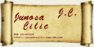 Junoša Cilić vizit kartica